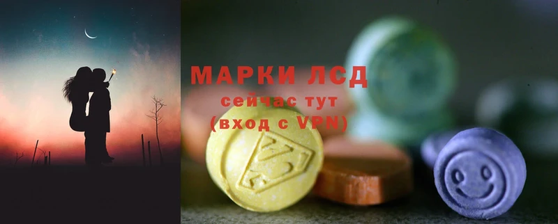 купить наркотик  Курчалой  блэк спрут ссылки  LSD-25 экстази ecstasy 