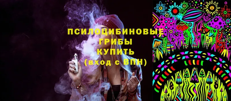 Галлюциногенные грибы MAGIC MUSHROOMS  Курчалой 